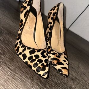Leopard Print Pointed-Toe Pumps in Tan and Black